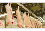 Áustria aprovada para exportar subprodutos de carne suína para a China