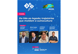 333 Experience Congress Brasil - 2026